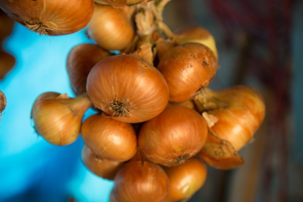 Kraken onion сайта