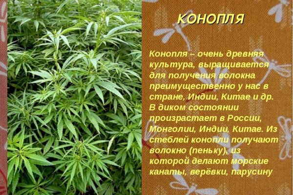 Кракен тор это