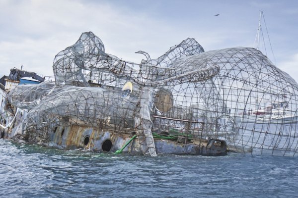 Kraken 14 at