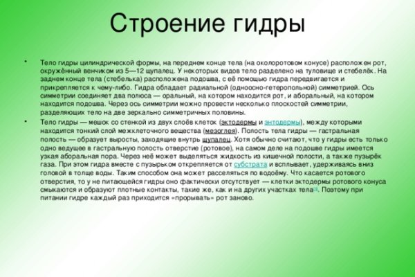 Ссылка на кракен через тор