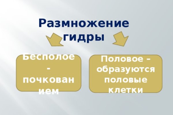 Кракен даркнет площадка