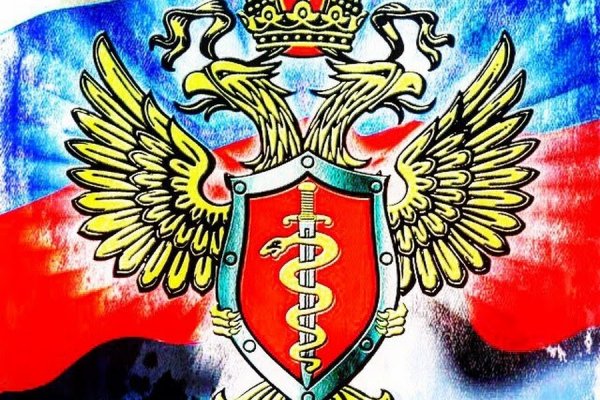 Kraken зеркала gigageek ru
