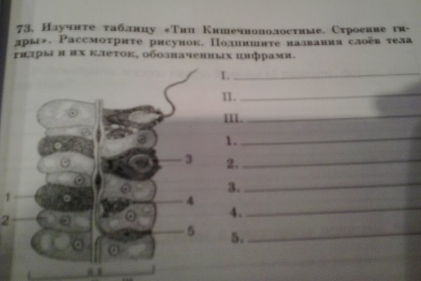 Кракен официальный