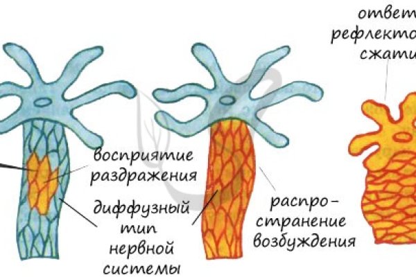 Ссылки на кракена и на мегу
